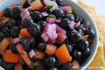 Minted Blueberry Salsa 155 copy