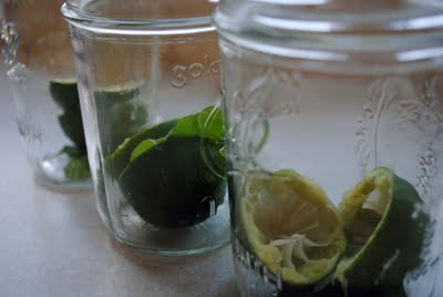 Limeade with Mint
