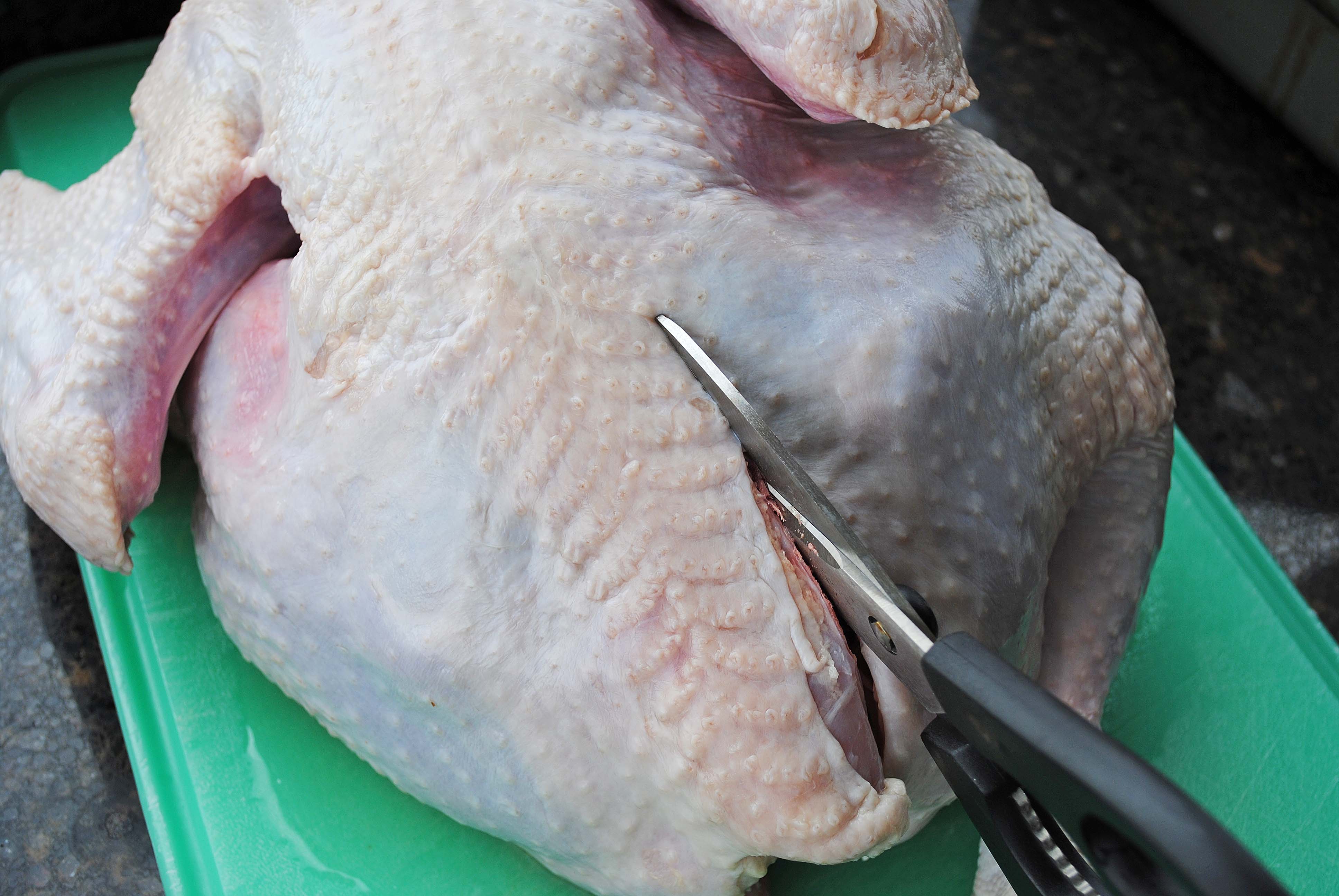 fresh thyme fresh turkey fresh thyme fresh turkey