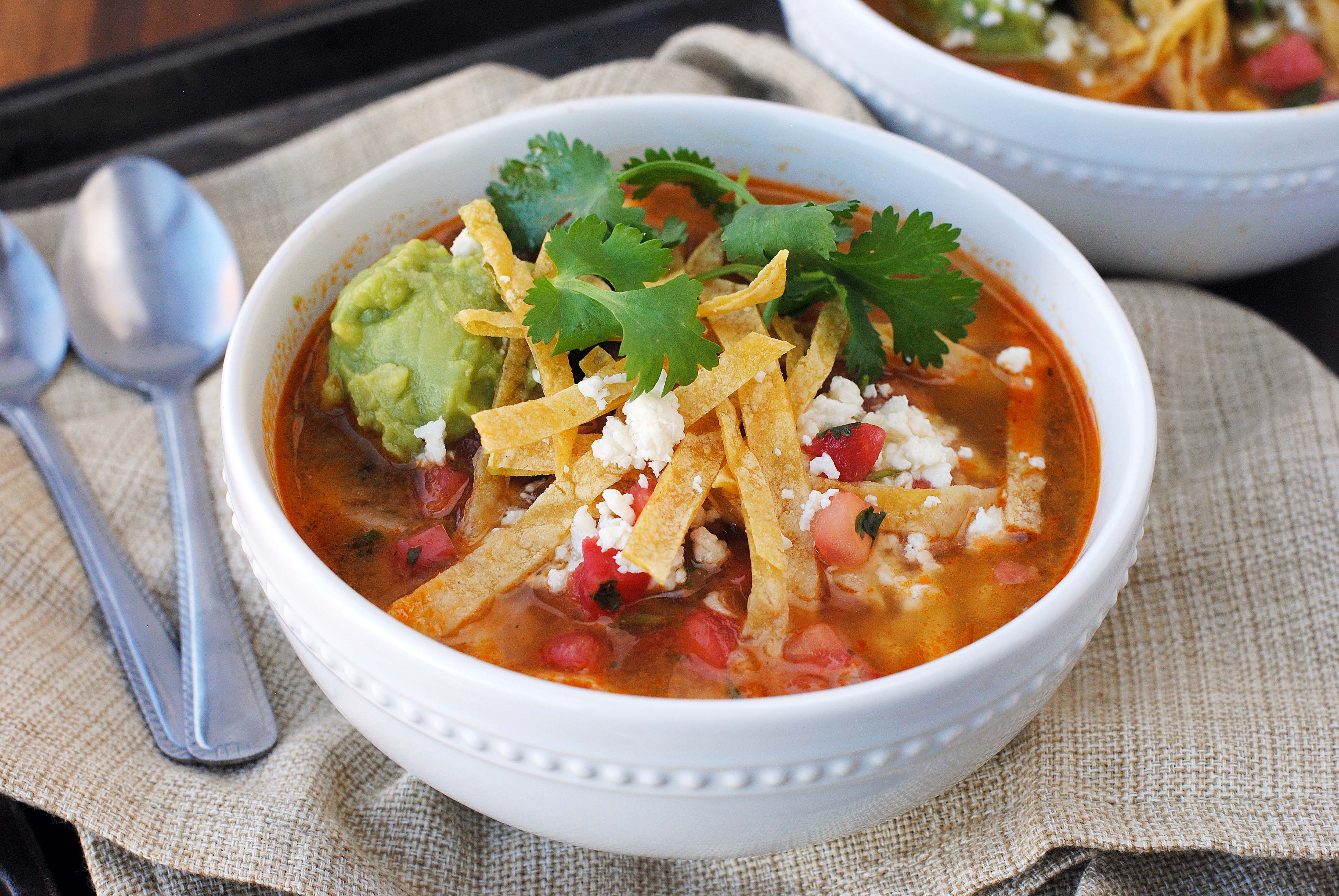 Easy Mexican Chicken Soup 027 